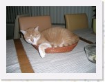 Tommy en Tymo 267 * 2048 x 1536 * (967KB)